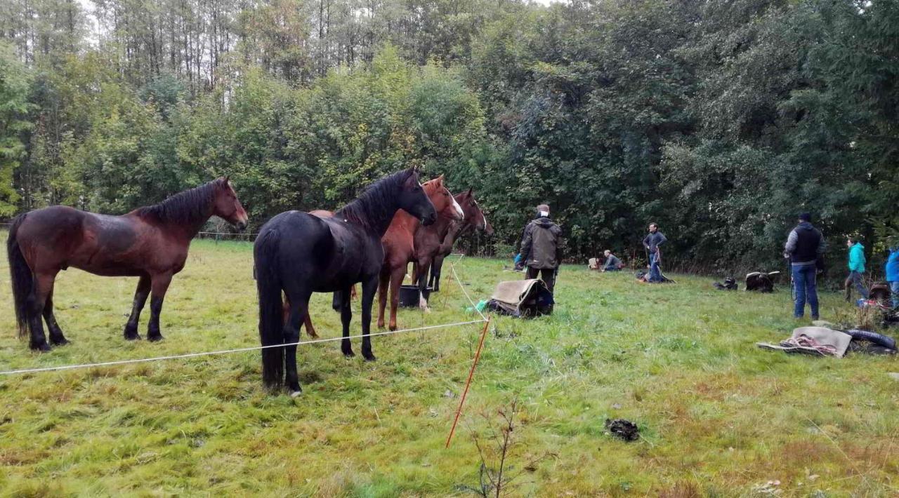 Penzion Hermanice Králíky Bagian luar foto